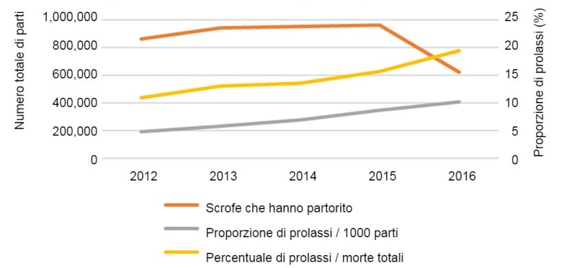 Fig.1. Numero totale di parti nell'analisi ed evoluzione nel tempo della % di prolassi delle scrofe su 1000 scrofe che hanno partorito o sul N&deg; totale di morti di scrofe negli allevamenti.
