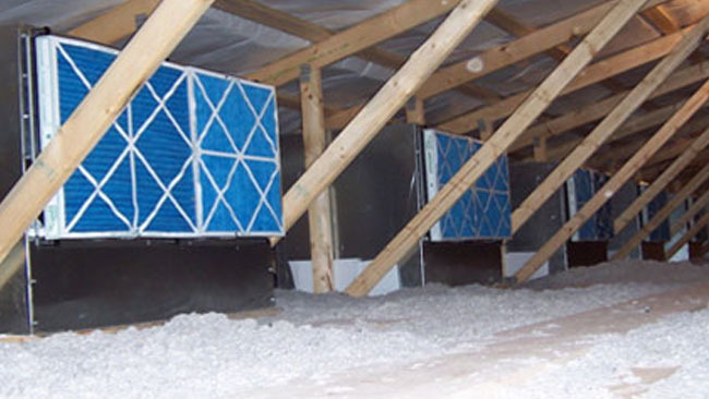 Filtri d'aria in una scrofaia