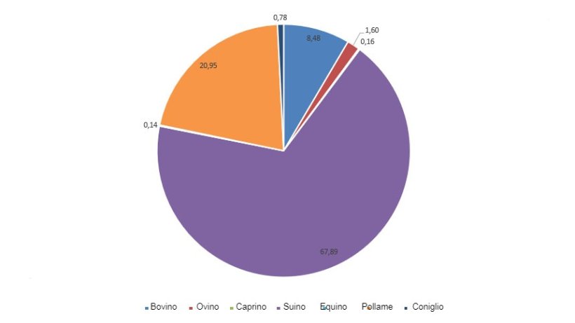 Rilevanza delle diverse categorie all'interno della produzione totale di carne
