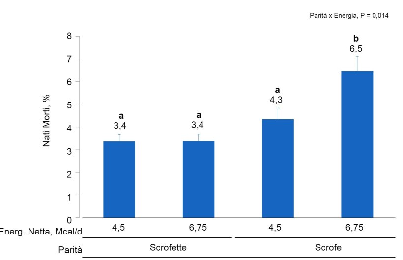 Figura 2. Effetti del consumo di diversi livelli di energia forniti dal giorno 90 al 111&deg; della gestazione sul tasso di nati morti di scrofette e scrofe. Le medie con un super-indice differente all'interno del livello di parit&agrave; (N&deg; di parti) sono differenti&nbsp;(P <0,05).
