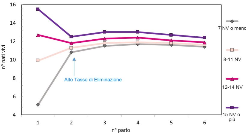 Grafico 1. Produzione lungo la vita della scrofa in funzione dei suinetti nati
