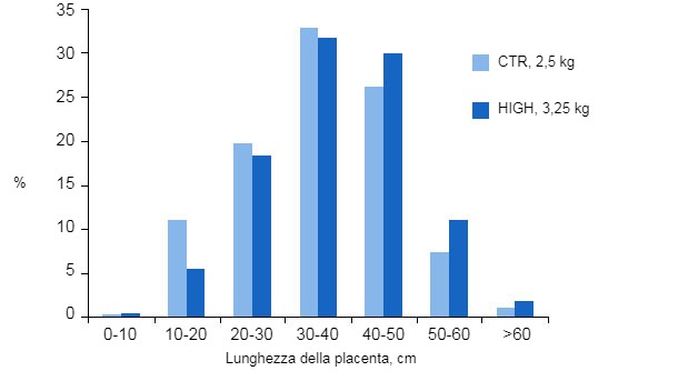 Grafico&nbsp;4. L'aumento del piano alimentare nelle scrofe del gruppo alto&nbsp;(HIGH,H), migliora la dimensione della placenta nelle scrofe di primo parto rispetto a quelle del gruppo controllo&nbsp;(Control, CTR). (Hoving L. S., 2012).
