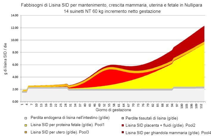 Grafico 1. Partizione dei fabbisogni di lisina SID, modello basato su NRC 2012