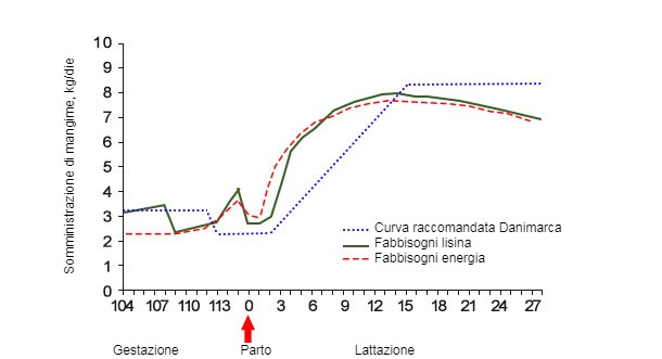 Grafico 2. Quantità di mangime richiesta per un apporto di energia e lisina ideale in comparazione alla curva alimentare raccomandata in Danimarca durante l'ultima fase di gestazione e lattazione (Theil, 2017).