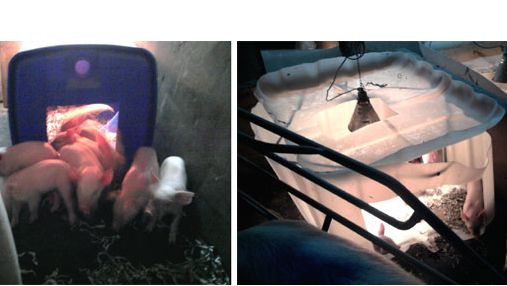 Bidone di plastica a sezione quadrata(sx) e contenitore liquidi (dx) tagliato
