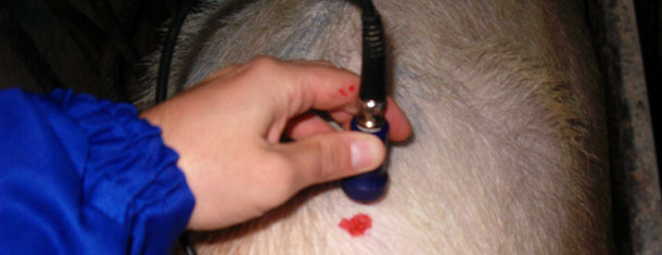 Realizziamo la lettura ed annotiamo