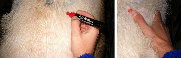 Segnamo il punto della misurazione con un pennarello a punta grossa di colore vistoso