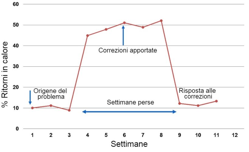Grafico 1. Risposta riportata per settimana delle coperture
