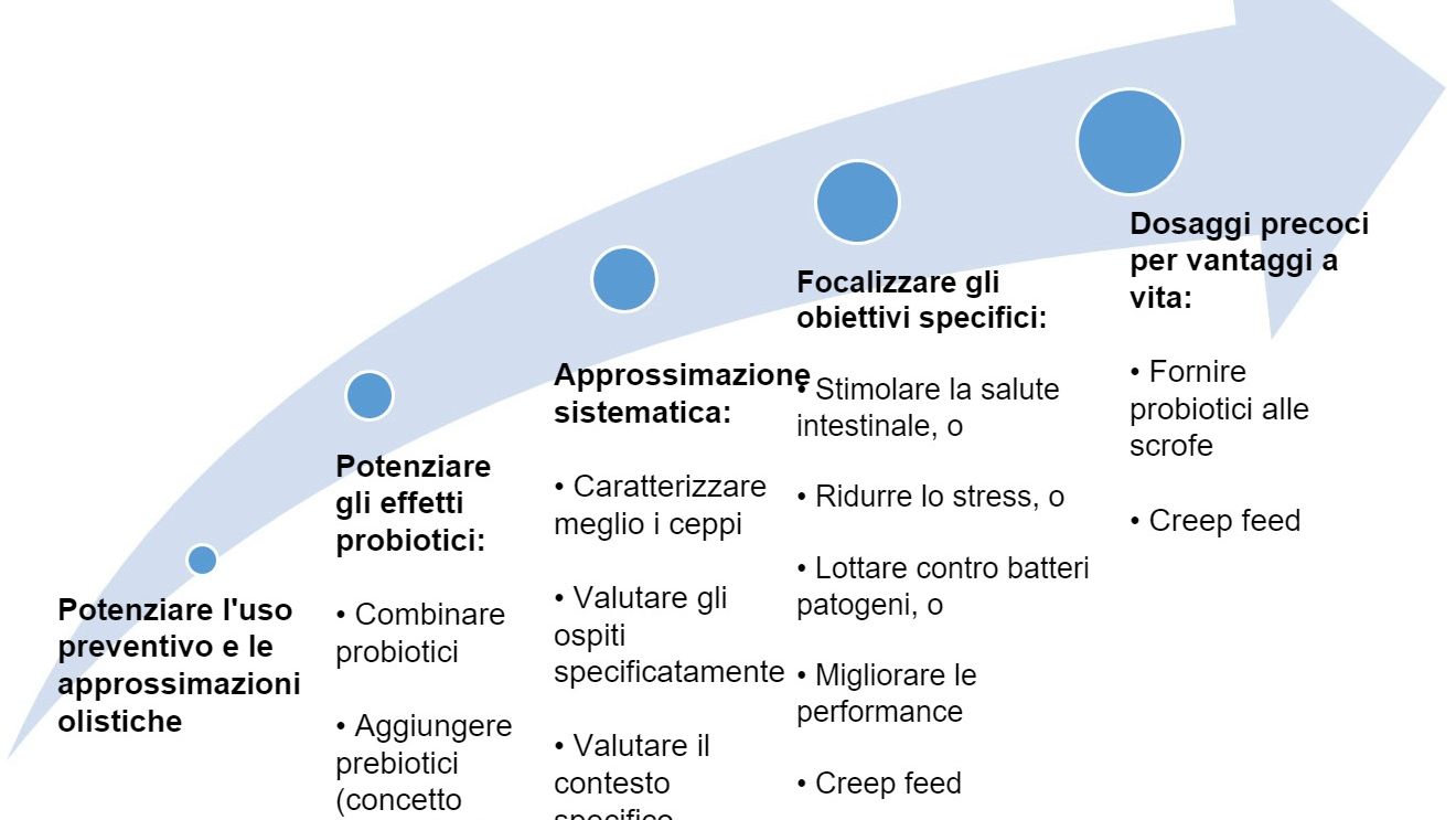 Figura 2. Strategie per migliorare l'uso dei probiotici in fasi precoci
