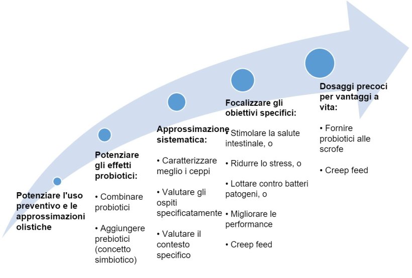 Figura 2. Strategie per migliorare l'uso dei probiotici in fasi precoci
