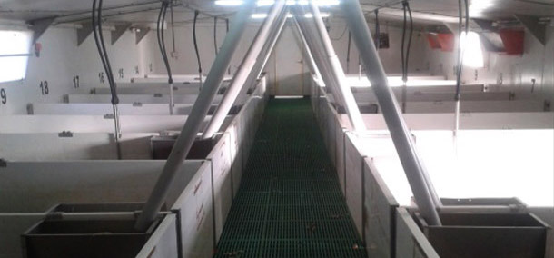 Sala di svezzamento con un buon livello di confort&nbsp;
