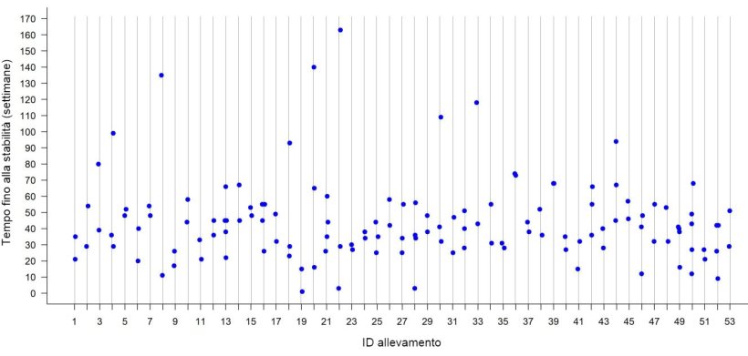 Figura 2: Tempo di stabilità contro la PRRS in ogni allevamento in 53 scrofaie nel Midwest degli Stati Uniti. Ogni punto rappresenta il TTS osservato per ogni focolaio in un determinato allevamento.