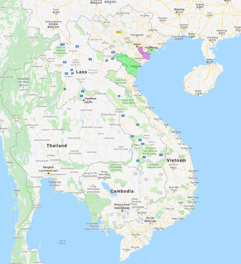 Hai Phong y Thanh Hoa, nuevas provincias afectadas por PPA.