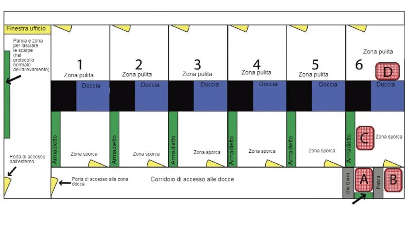 Schema della zona doccia e dei suoi accessi. La Doccia 6 &egrave; stata utilizzata per eseguire lo studio. Sono indicati l'ubicazione della panca per i giorni di trattamento ed il posizionamento della polvere fluorescente (Glo Germ). La posizione di ciascun punto di campionamento &egrave; designata con le lettere A, B, C e D.
