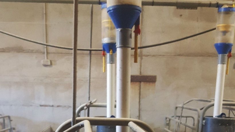 Figura 3: Con un distributore automatico, l'alimentazione pu&ograve; essere regolata in modo pi&ugrave; semplice nel pre-post parto, consentendo l'alimentazione a volont&agrave; in un secondo momento.
