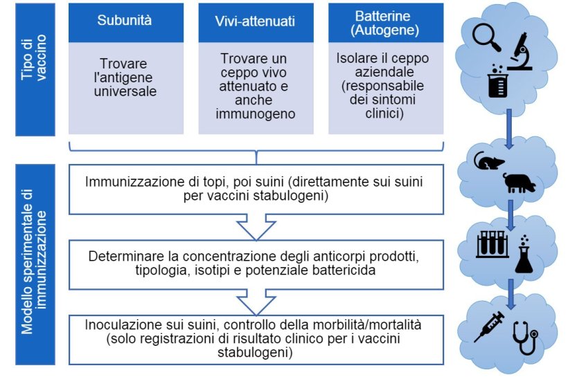 Figura 3. Gli steps dell'efficacia dei vaccini sperimentali (per tipo di vaccino).
