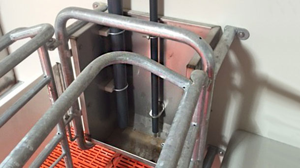 Foto 4. Con sensore di livello, non scarica se c'&egrave; ancora mangimi in mangiatoia.
