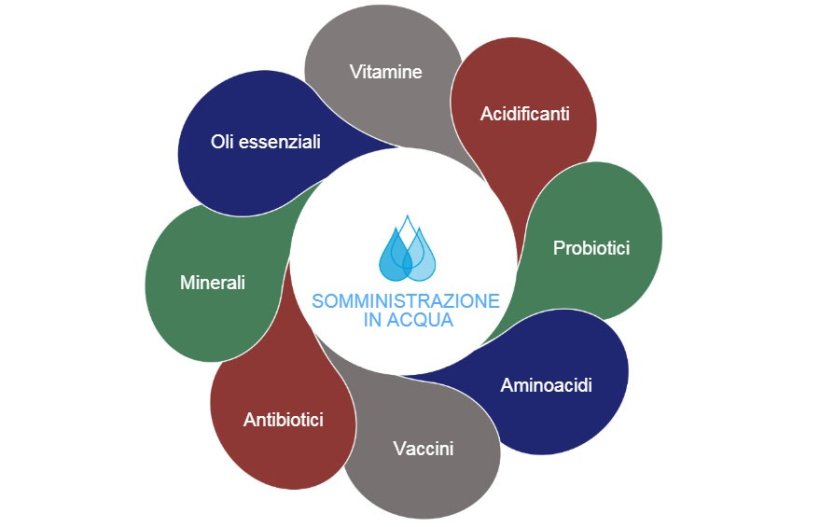 Figura1: Possibili opzioni nell'acqua di bevanda
