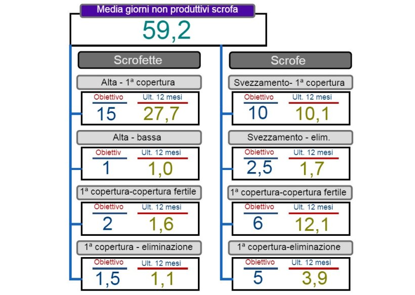 Figura 2. Analisi dei dati non produttivi.
