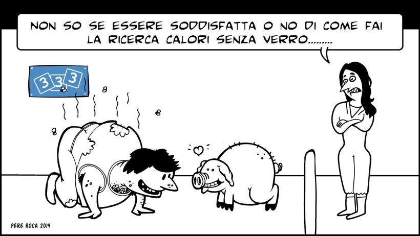Ricerca calori scrofe
