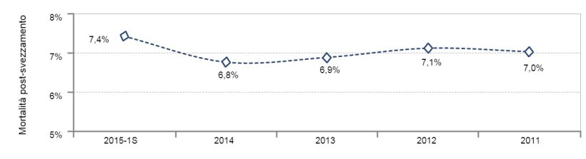Suinetti/scrofa/anno
