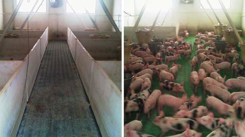 Sale aperte in confronto alle sale convenzionali 1