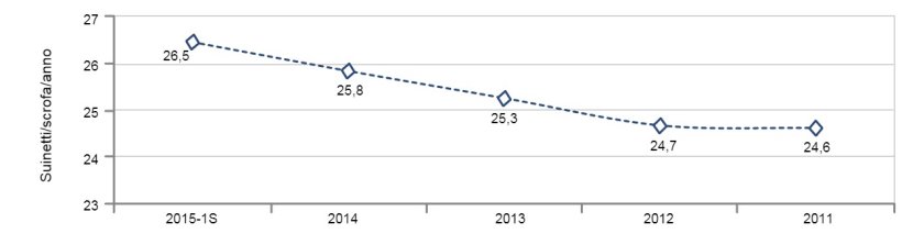 Suinetti/scrofa/anno