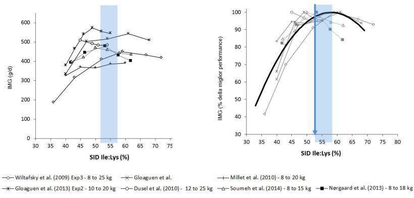 Figura 1: Risultati dell'accrescimento nei suinetti ottenuti in diversi studi a seconda di diversi rapporti&nbsp;Ile:Lys DIS . L'accrescimento viene espresso in valore assoluto o come percentuale della miglior crescita. Fonte: Ajinomoto Animal Nutrition Europe
