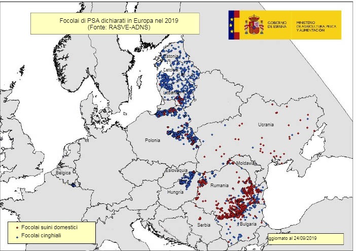 Mappa dei focolai di PSA nell'UE ed Ucraina nel 2019