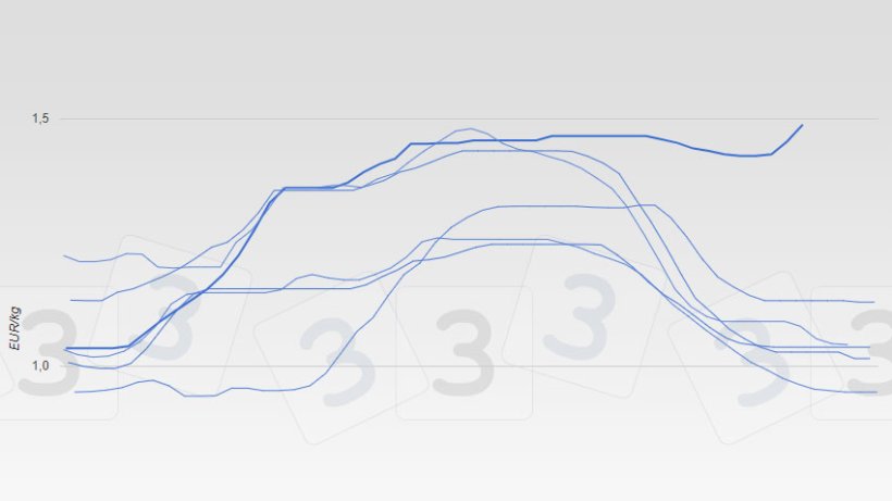 Precio del cerdo en la lonja de Mercolleida. La &uacute;ltima cotizaci&oacute;n, de 29 de noviembre, ha sido de 1,49 &euro;/kg, con una tendencia al alta absolutamente inusual en un mes de noviembre.
