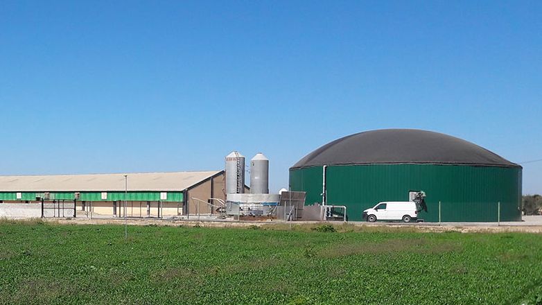 Figura 2: Allevamento di suini nella regione di Segri&aacute; (Lleida, Spagna), con produzione di biogas per autoconsumo di energia termica ed elettrica.
