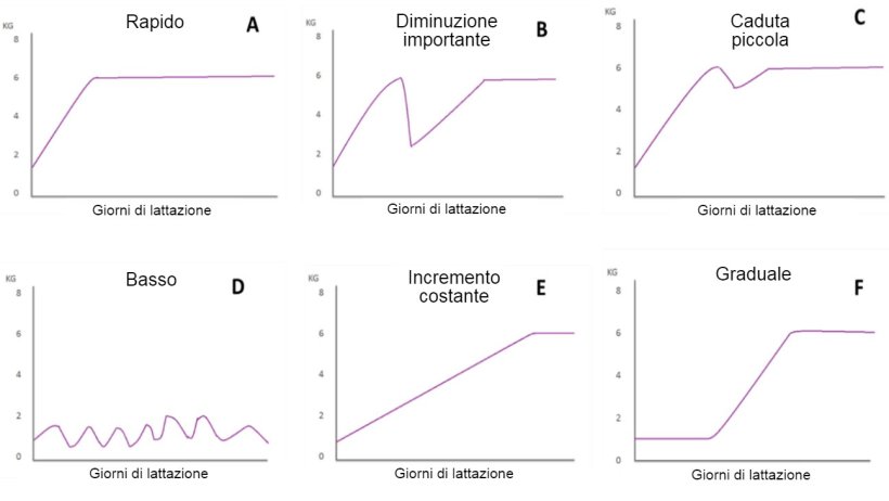 Figura 1. Modelli di alimentazione delle scrofe in lattazione descritte da Koketsu et al (1996a). A) Rapido aumento dei consumi; B) diminuzione significativa; C) piccola caduta; D) basso consumo durante l'allattamento; E) basso consumo la prima settimana di allattamento e costante aumento nel resto della lattazione; e F) aumento graduale dei consumi.