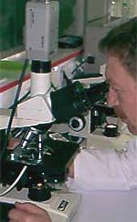 Examen del semen al microscopio