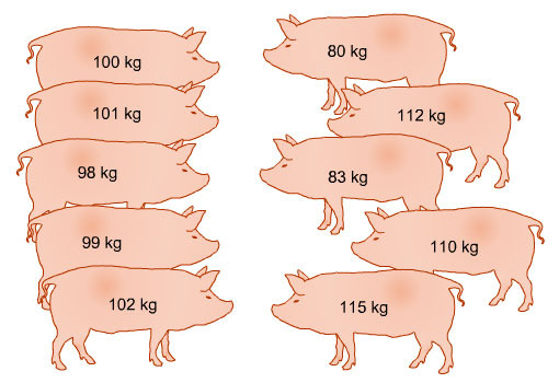 Variación del peso corporal