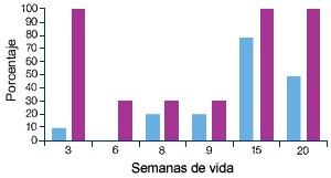 Seroperfil y PCR-perfil  granja A