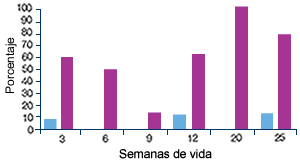 Seroperfil y PCR-perfil  granja D