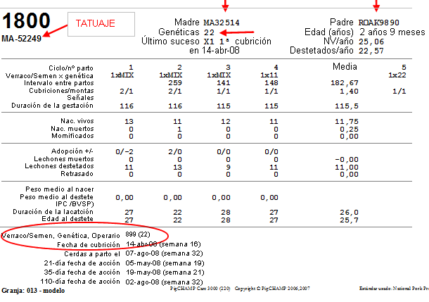 tarjeta de cerda con información importante para hacer los seguimientos individuales y de genealogías