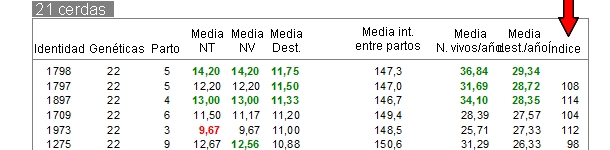 Ránking de resultados de cerdas