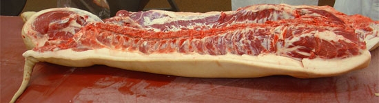 20100616-media_canal