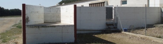 20110126_muelle_carga_cerdos