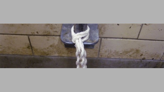 Cuerda de algodón para toma de muestras