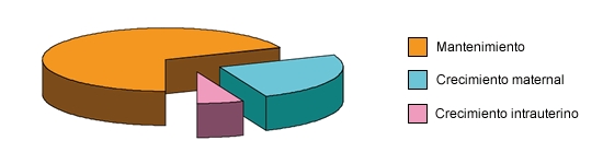 Requerimientos de energ&iacute;a en gestaci&oacute;n para mantenimiento, crecimiento maternal y crecimiento intrauterino.
