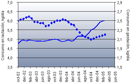 Consumo de la cerda en lactación o gestación