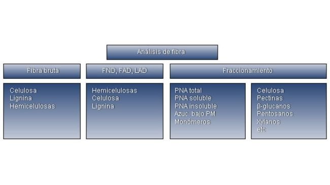 Resumen de las diferentes técnicas analíticas y fracciones de la fibra.