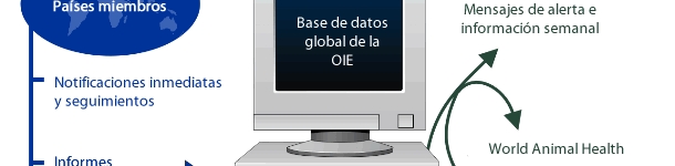 Base de datos de la OIE