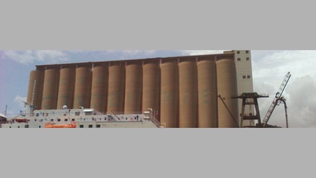 Origen de las materias primas consumidas en España