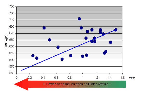 Relación entre alteración de los cornetes nasales (TPR) y GMD nacimiento-venta (según Nielsen et al., 1991)