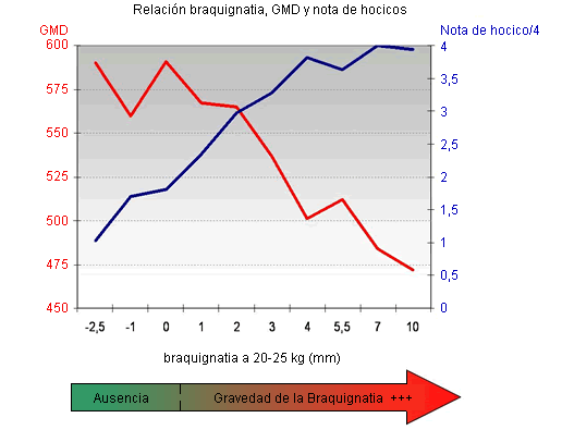 Relación entre braquignatia, GMD y nivel de contaminación de Rinitis Atrófica (de Jong)