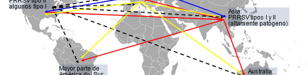 Distribución mundial del PRRSV y transmisión intercontinental hipotética