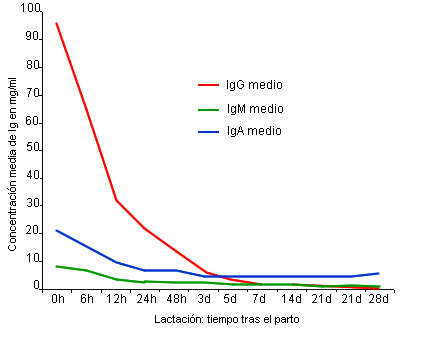 concentración Ig tras el parto